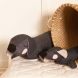 Stofftier - lazy puppy anthracite