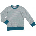 Langärmliges gestreiftes Kids Shirt 'Grau/Aqua'